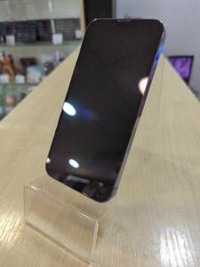 Мобільний телефон iPhone 13 Pro 256GB