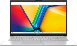 Ноутбук ASUS Vivobook Go 15 (E1504F)