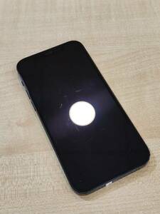Мобільний телефон iPhone 12 64GB