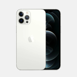 Мобильный телефон iPhone 12 Pro Max 256GB