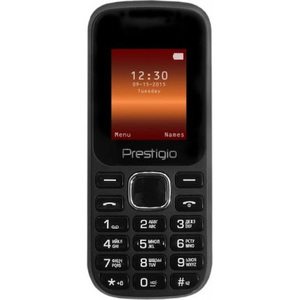 Мобильный телефон Prestigio PFP1180DUO Wize B1